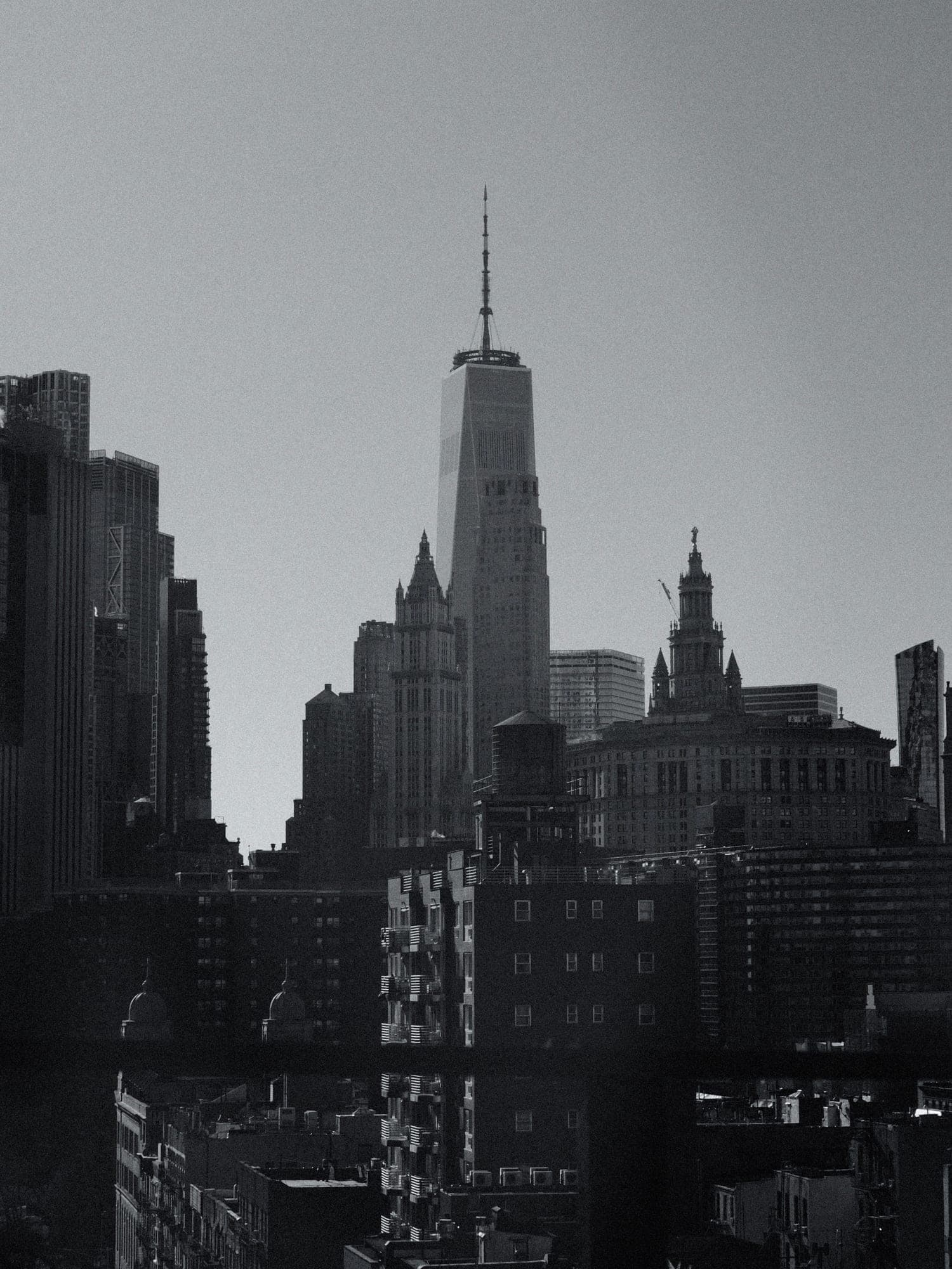 Black and white photograph 12