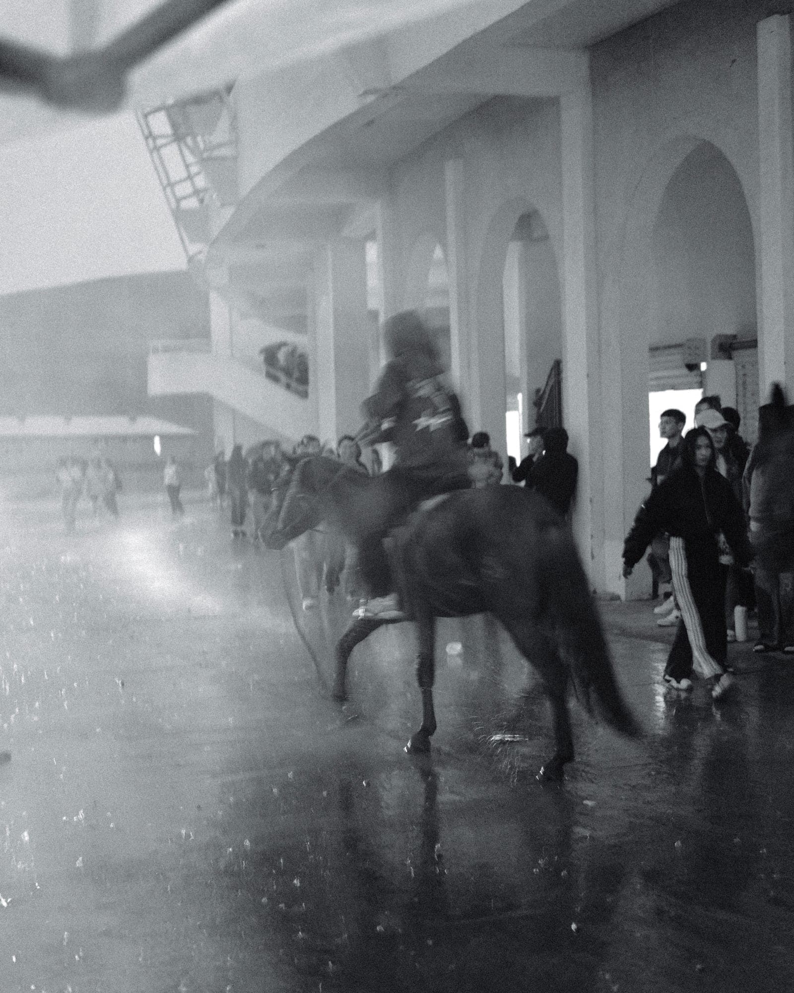 Black and white photograph 13