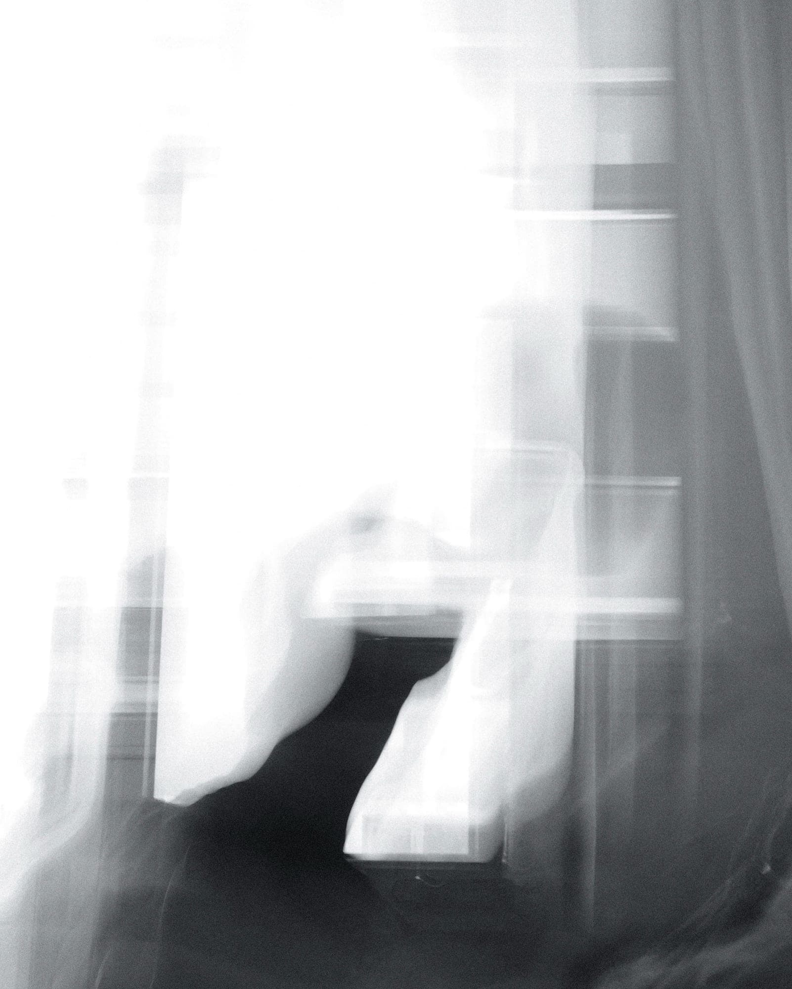 Black and white photograph 19
