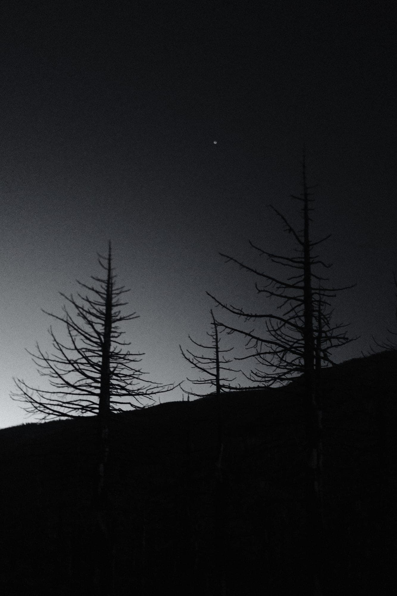 Black and white photograph 5